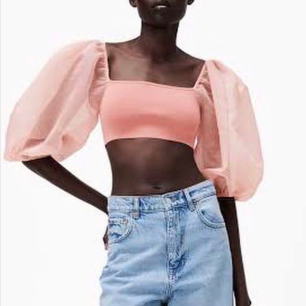 Zara organza top